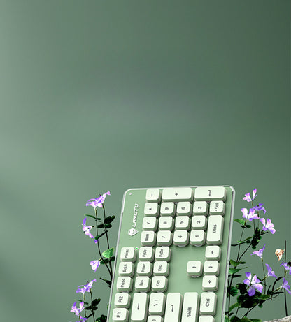 LT600 wireless silent film keyboard and mouse set desktop notebook game competitive office keyboard mouse